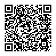 qrcode:https://admin.info241.com/delestages-a-libreville-2-groupes-electrogenes-d-urgence-et-une,9942