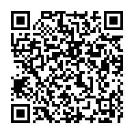 qrcode:https://admin.info241.com/exil-dore-des-bongo-l-union-africaine-eternel-syndicat-des-chefs,10381
