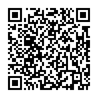 qrcode:https://admin.info241.com/le-chat-video-aleatoire-une-combinaison-reussie-entre-les,7596