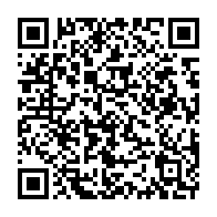 qrcode:https://admin.info241.com/arrestation-de-massavala-maboumba-la-patience-du-peuple-gabonais,3090
